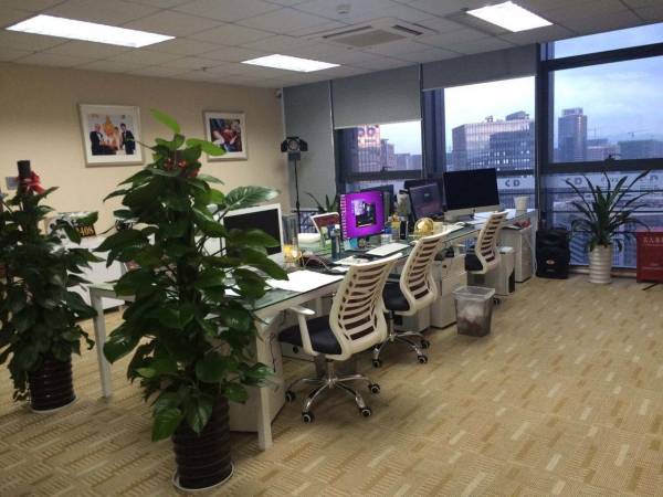 文化传媒网站建设解决方案